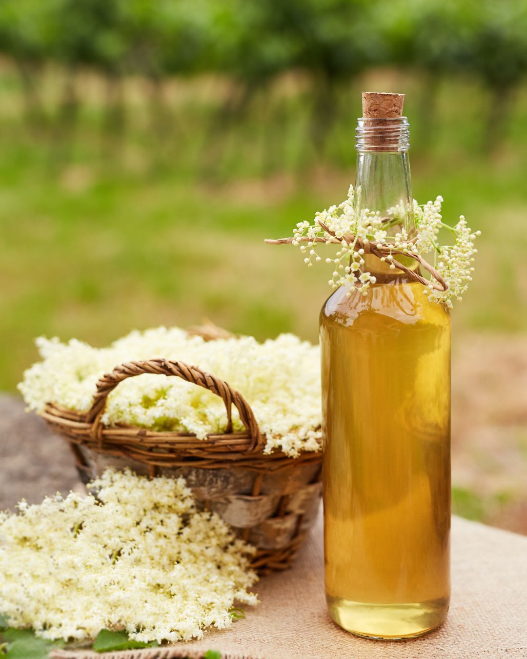 *** COMPLET *** Atelier Création d’un apéritif bio - 3h de formations / 24 Octobre 2026 à 14h